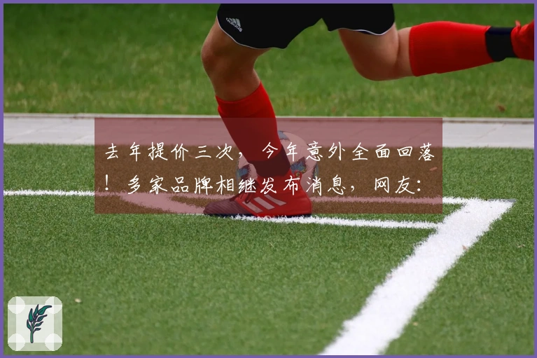 去年提价三次，今年意外全面回落！多家品牌相继发布消息，网友：再等等，可能还会减价