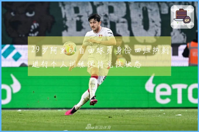 29岁阿里以自由球员身份回归热刺进行个人训练保持竞技状态
